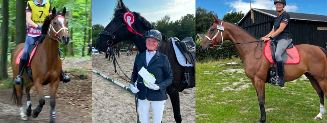 Fra 2 x danmarksmester i distance til TREC og dressur – når hestelivet tager en ny retning