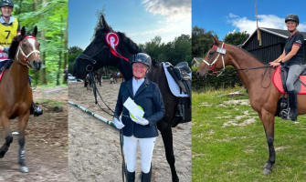 Fra 2 x danmarksmester i distance til TREC og dressur – når hestelivet tager en ny retning