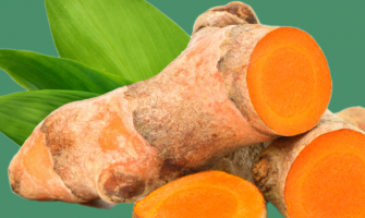 Gurkemeje; den gyldne nøgle til velvære hos din hest