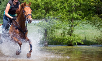 Nedsat fordøjelse kan give nedsat præstation