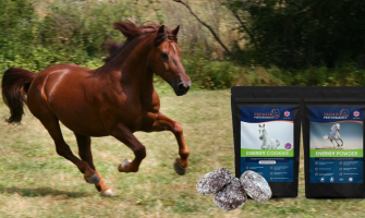 Mangler din hest energi? Prøv Energy Cookies!