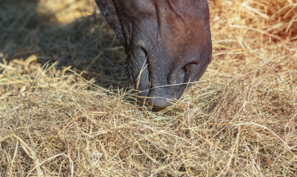Undgå de tre største fejl ved et vægttab