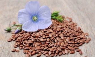 Hørfrø - frøet med de mange egenskaber Hørfrø - frøet med de mange egenskaber