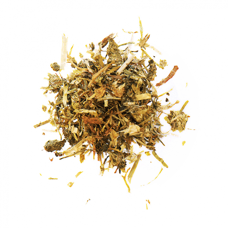 PRE ALPIN Senior - AGROBS