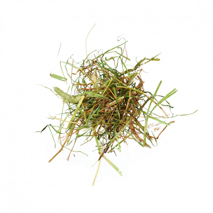 AlpenHeu - AGROBS