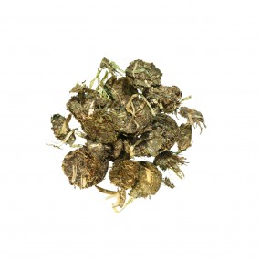 MYO PROTEIN Flakes - AGROBS