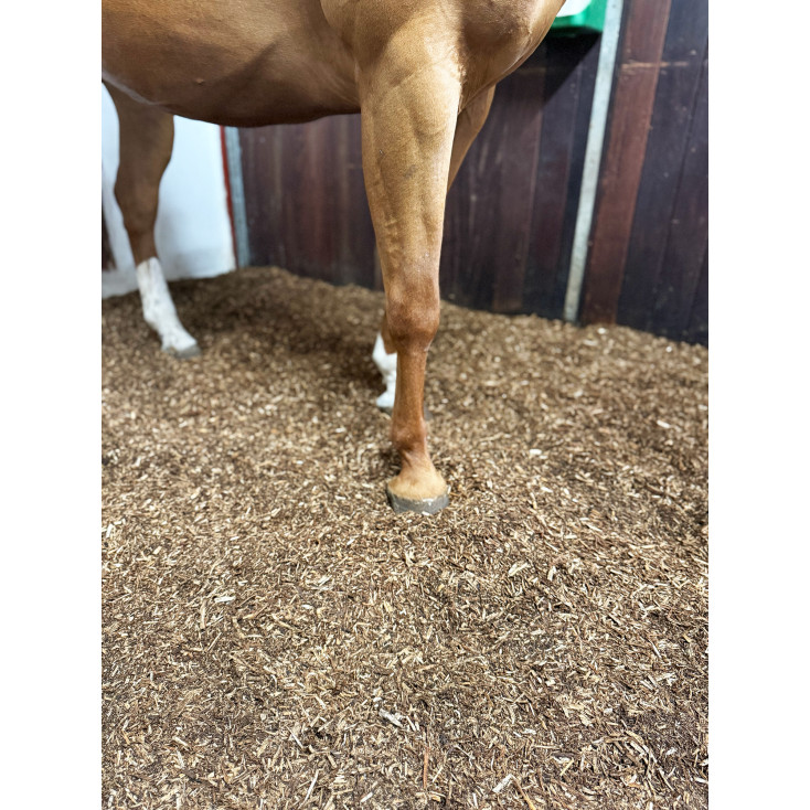 Biobed Nordic Willow HORSE - 1 pose á 40L