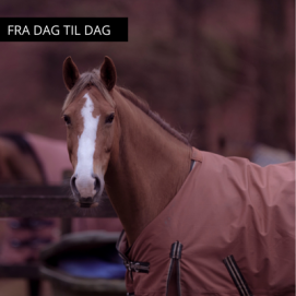 Dækkenvask m/u imp. DAG TIL DAG 