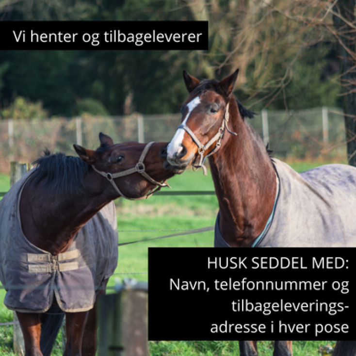 Dækkenvask med imprægnering - min. 10 stk.