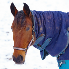 Dækkenvask m. imprægnering (inkl. hals)