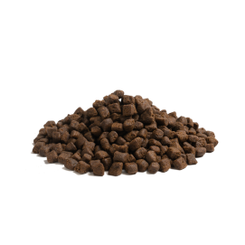 Essentiel Foods - The Beginning