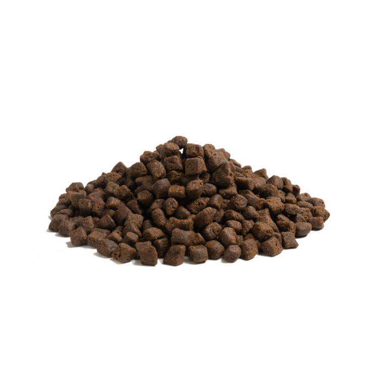 Essentiel Foods - The Beginning