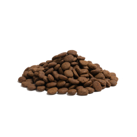 Essentiel Foods - The Beginning Large Breed