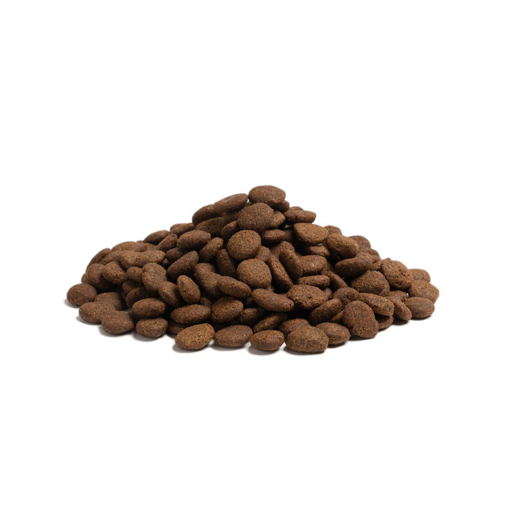 Essentiel Foods - The Beginning Large Breed