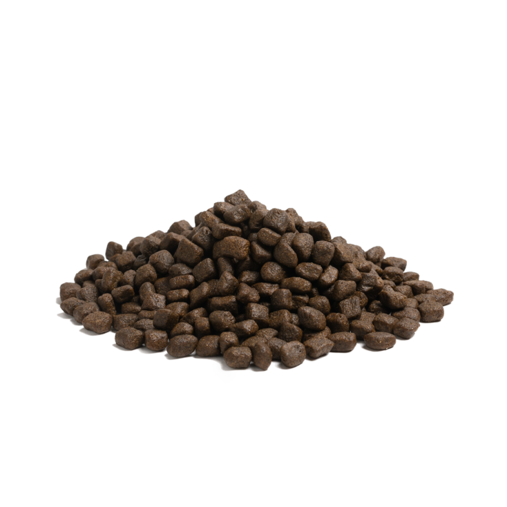 Essentiel Foods - Nautical Living