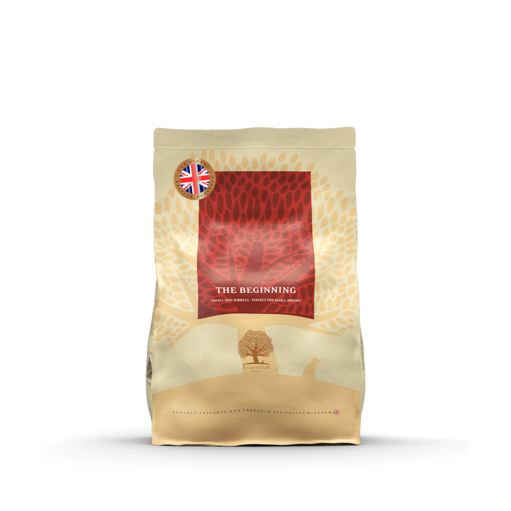 Essentiel Foods - The Beginning