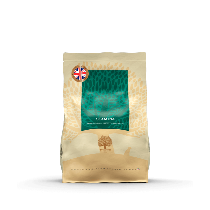 Essentiel Foods - Stamina