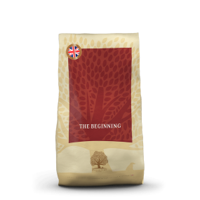 Essential Foods - The Beginning
