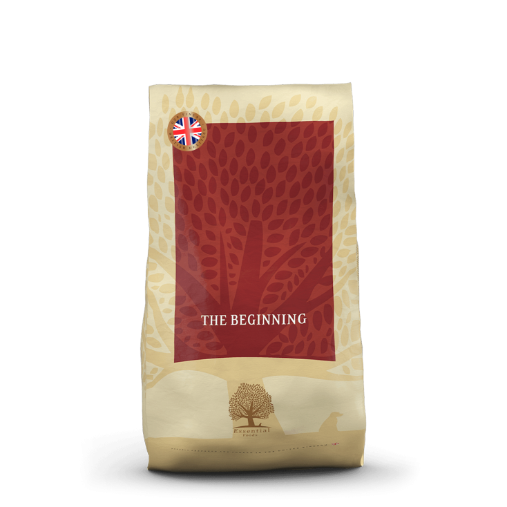 Essentiel Foods - The Beginning