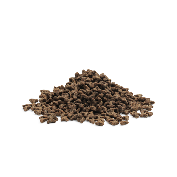 Essentiel Foods - The Little Lion