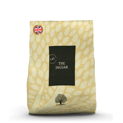 Essential Foods - The Jaguar 