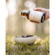 Essential Foods - The Omega 3 Oil