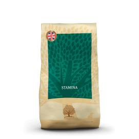 Essentiel Foods - Stamina