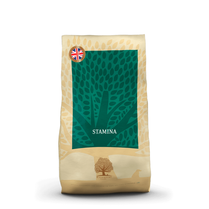 Essentiel Foods - Stamina