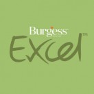 Burgess Excel