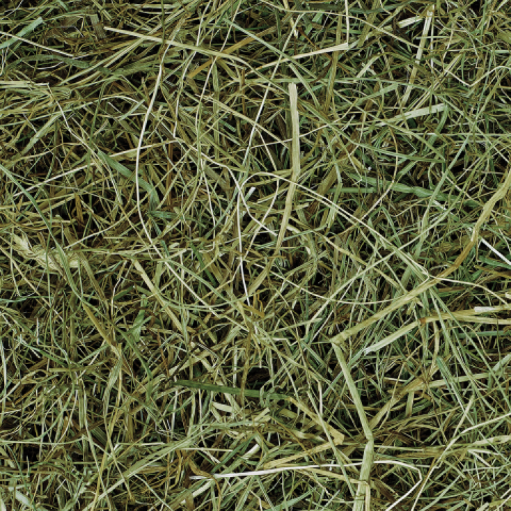 Jopack TopHay Daily 500 kg