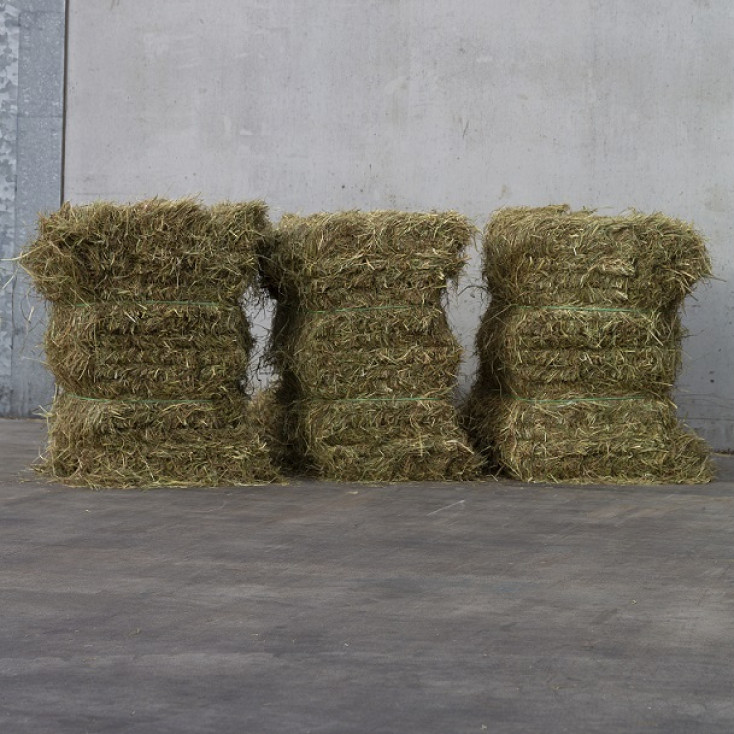 Jopack TopHay Daily 500 kg