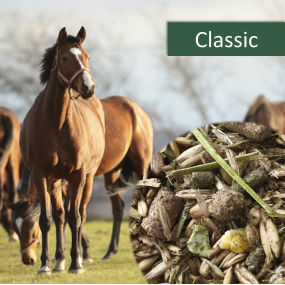 Horsepro Classic, 20 kg