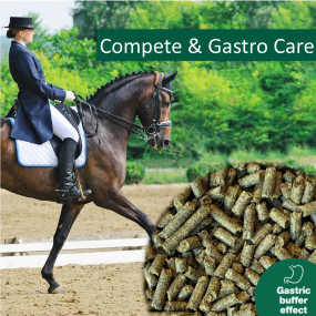 Horsepro Compete & Gastro Care, 20 kg