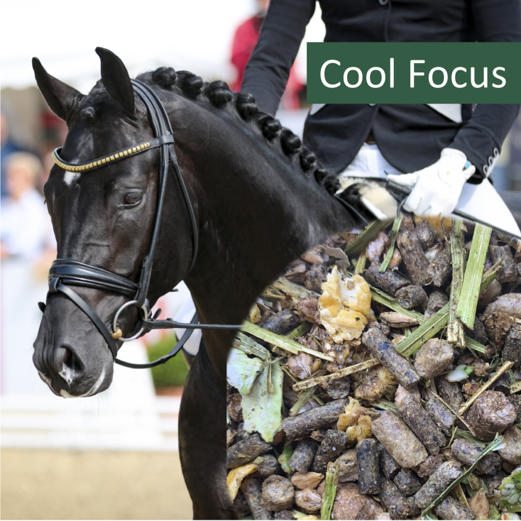 Horsepro Cool Focus, 20 kg