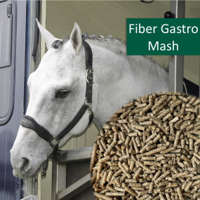 Horsepro Fiber Gastro Mash, 20 kg Horsepro Fiber Gastro Mash, 20 kg