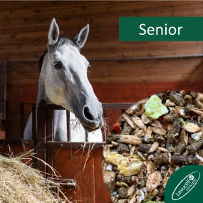 Horsepro Senior, 20 kg