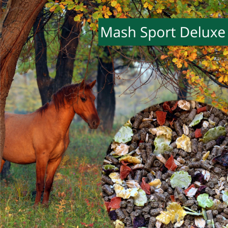 Horsepro Mash Sport Deluxe, 10 kg