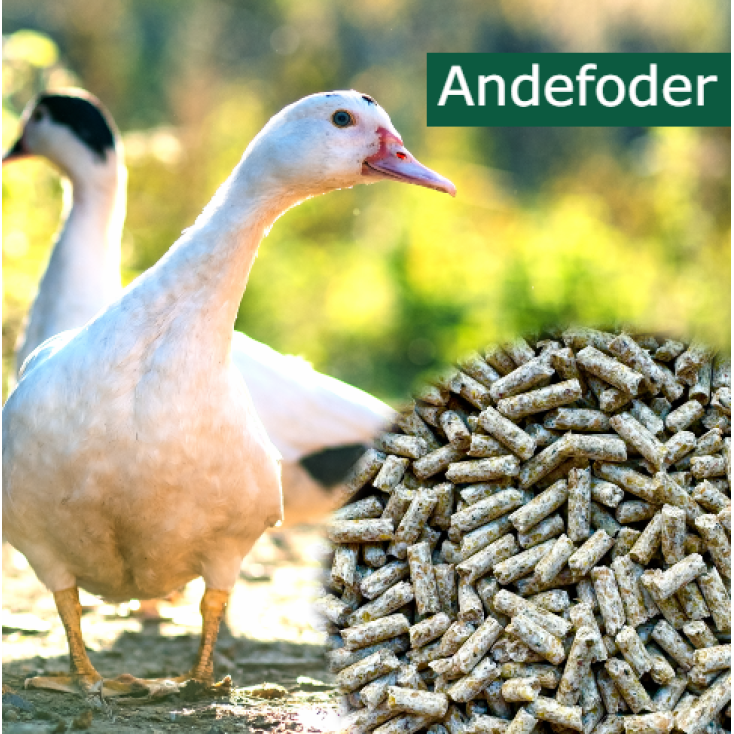Andefoder, 20 kg