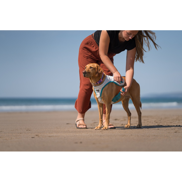 Cooling Vest - Non-Stop Dogwear