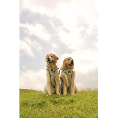 Cooling Vest - Non-Stop Dogwear