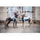 Cooling Vest - Non-Stop Dogwear