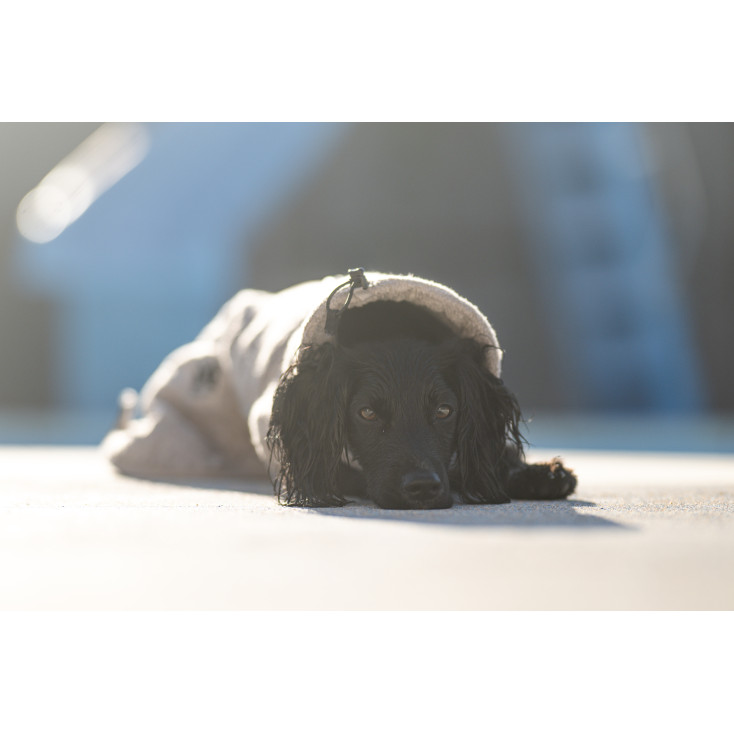 Drying Coat - Non-stop Dogwear
