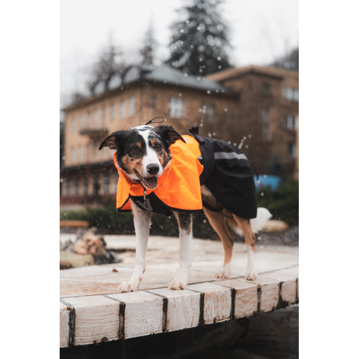 Fjord Raincoat 2.0 - Non-Stop Dogwear