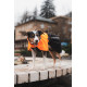 Fjord Raincoat 2.0 - Non-Stop Dogwear