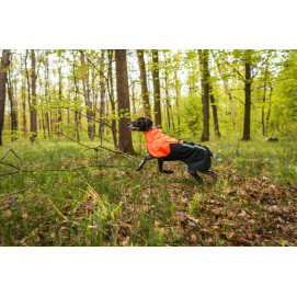Fjord Raincoat 2.0 - Non-Stop Dogwear