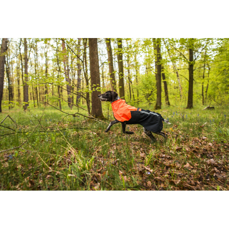 Fjord Raincoat 2.0 - Non-Stop Dogwear