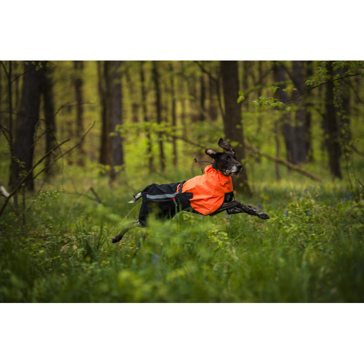 Fjord Raincoat 2.0 - Non-Stop Dogwear