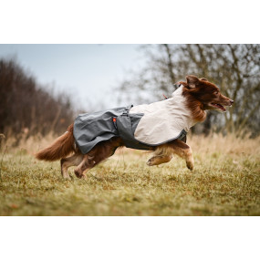 Fjord Raincoat 2.0 Gray - Non-Stop Dogwear