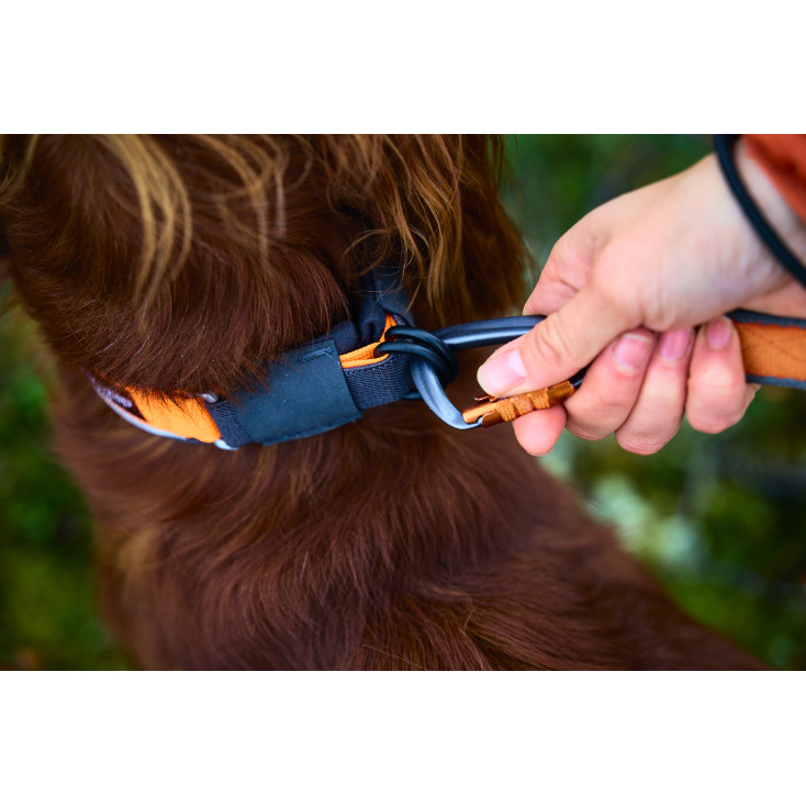 Protector Collar - Non-Stop Dogwear