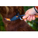 Protector Collar - Non-Stop Dogwear